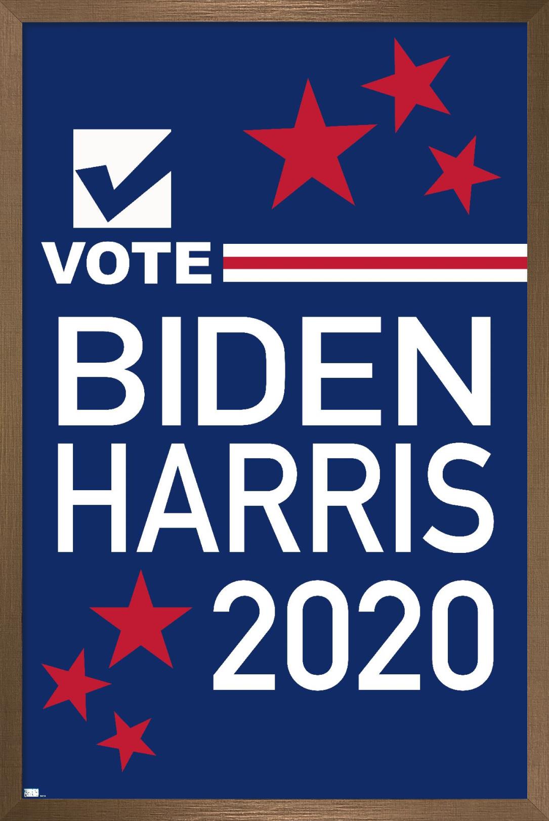 Trends International Vote - Biden/Harris 2020 Wall Poster 24.25" x 35.75" x .75" Bronze Framed Version