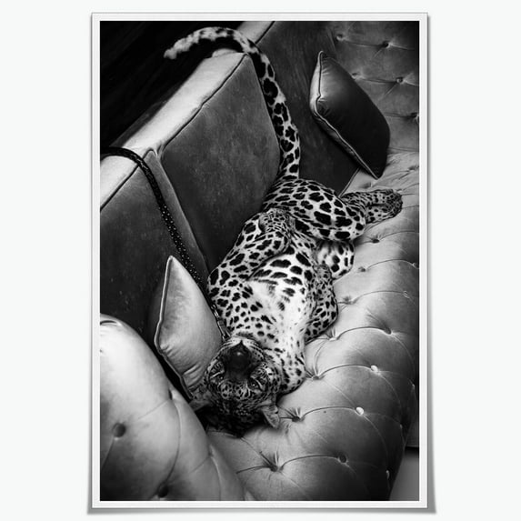 Trendy Black and White Wall Art Panther on The Sofa Posters Canvas Prints Vintage Fashion Cheetah Picture Poster Leopard Magazine Cover Aesthetic Wall Decor for Dorm Bedroom 16x24inch Unframed