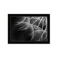 thumbnail image 1 of Trendy Decor 4U "Delicate Beauty" Framed Wall Art, Modern Home Décor Black Framed Print for Living Room, Bedroom & Farmhouse Wall Decoration by Lori Deiter 20"x14", 1 of 2
