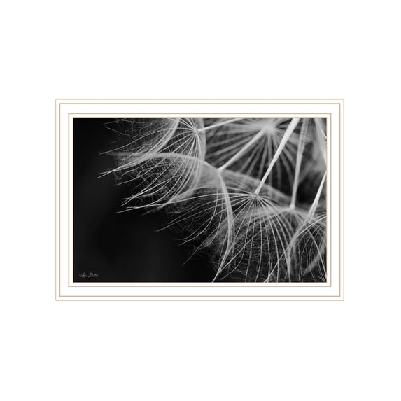 Trendy Decor 4U "Delicate Beauty" Framed Wall Art, Modern Home Décor White Framed Print for Living Room, Bedroom & Farmhouse Wall Decoration by Lori Deiter 20"x14"