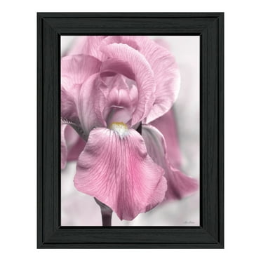 Trendy Decor 4U "Pink Iris" Framed Wall Art-Color:Black,Style:FrameType1