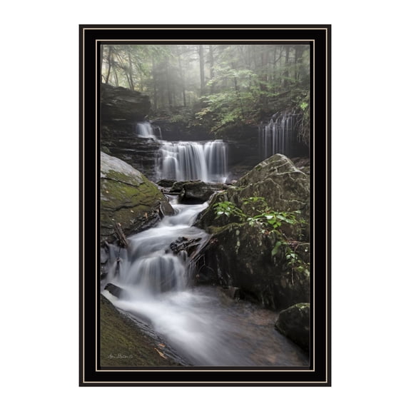 Trendy Decor 4U "Rickett's Waterfall" Framed Wall Art, Modern Home Décor Black Framed Print for Living Room, Bedroom & Farmhouse Wall Decoration by Lori Deiter 14"x20"