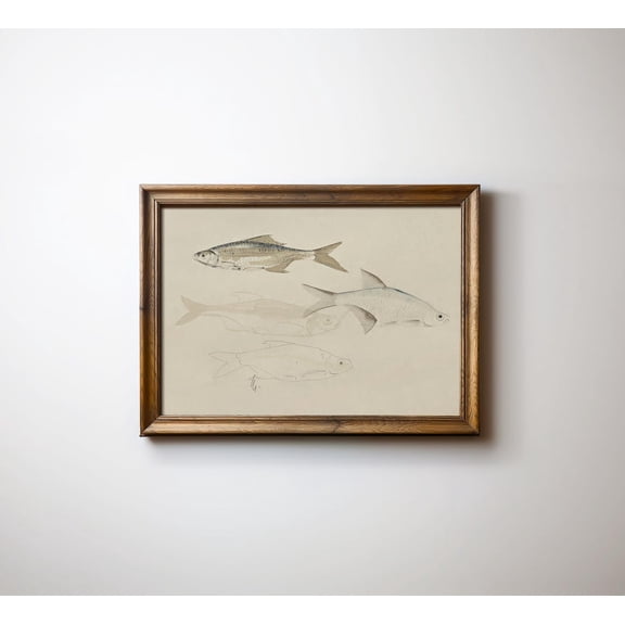 Trendy Fish Wall Art, Cottage Core Decor Wall Art, Fishing Lover'S , Wall Art Poster Decor, Unframed Canvas Size 24x36 F03.1.14l1151