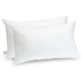 Poly-Fil® Crafter's Choice® Decorative Square Pillow Inserts by Fairfield™,  16 x 16 (Pack of 2) 