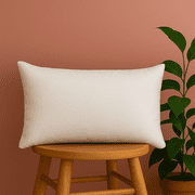 Trendy Home 12x18 Throw Pillow Insert, Cushion Sham Stuffer Hypoallergenic, Lumbar Support Decorative Home Outdoor Couch Bed Pillow Filler (Non Woven)