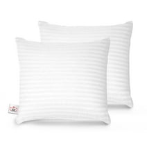 Trendy Home 18x18 Hypoallergenic Stuffer Home Office Decorative Throw Cushion Insert (White, Pack of 2)