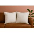 thumbnail image 1 of Trendy Home 20x20 Premium Stuffer Home Office Decorative Throw Pillow Insert (Pack of 2), 1 of 7