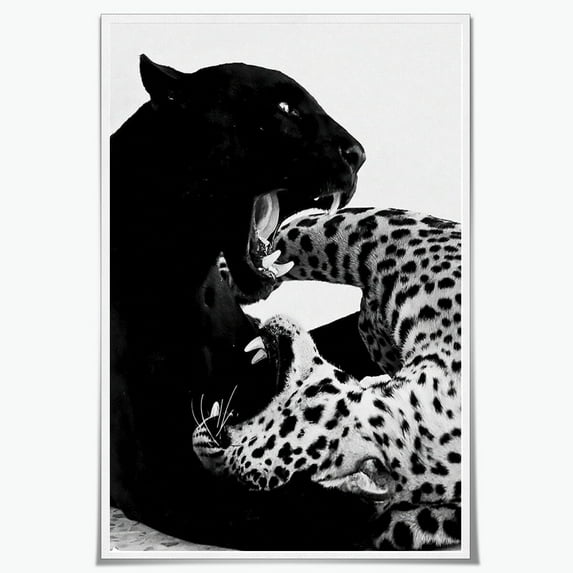 Trendy Panther Posters Vintage Black and White Wall Art Fashion Cheetah Canvas Prints Leopard Aesthetic Pictures Wall Decor for Office Dorm Bedroom 16x24inch Unframed