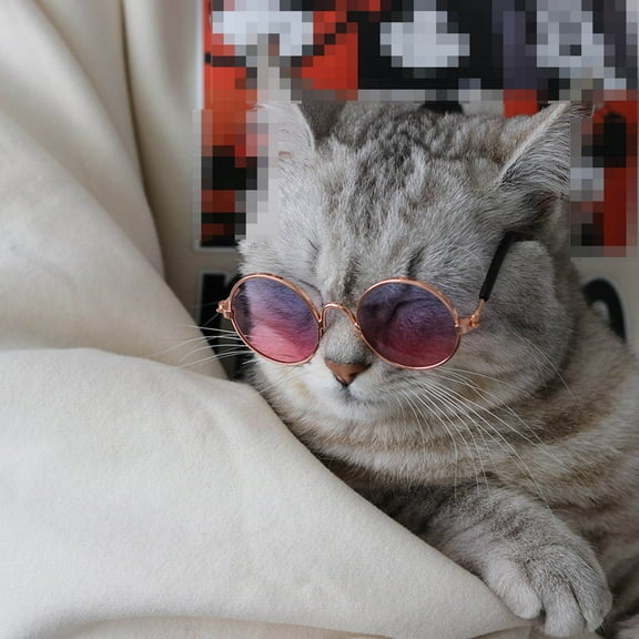 Stylish Pet Sunglasses Fashionable Eyewear Accessories for Dogs and Cats Party Props