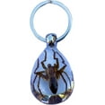 thumbnail image 1 of Trendy Zone 21 Keychain with Brown Spider Resin Key Ring| Key Chain Oval Shape Creative 2” Spider Keychain for Men & Women, Spider Keyring || 2” Pendant Height|Clear Background, 1 of 5