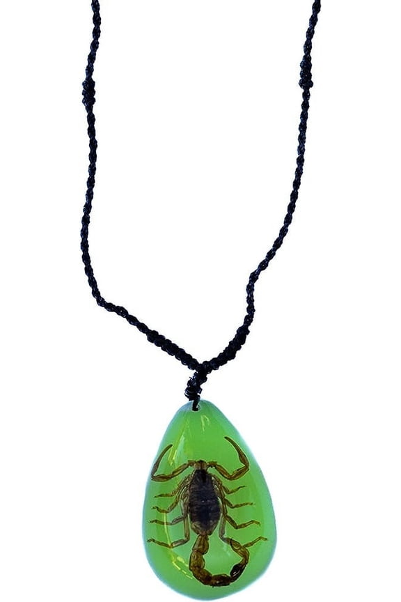 Real Brown Scorpion Necklace Small Teardrop (Glow in the Dark) 10” Real Scorpion Necklace for Men Scorpion Pendant Necklace | Neon Green Background | 2” Pendant Height | 10” Necklace Le