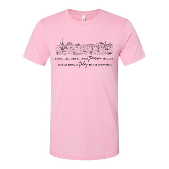 Trenz Shirt Company I Do Not and Will Not Desert Country Singer Inspired Short Sleeve Graphic T-Shirt-Light Pink-3XL