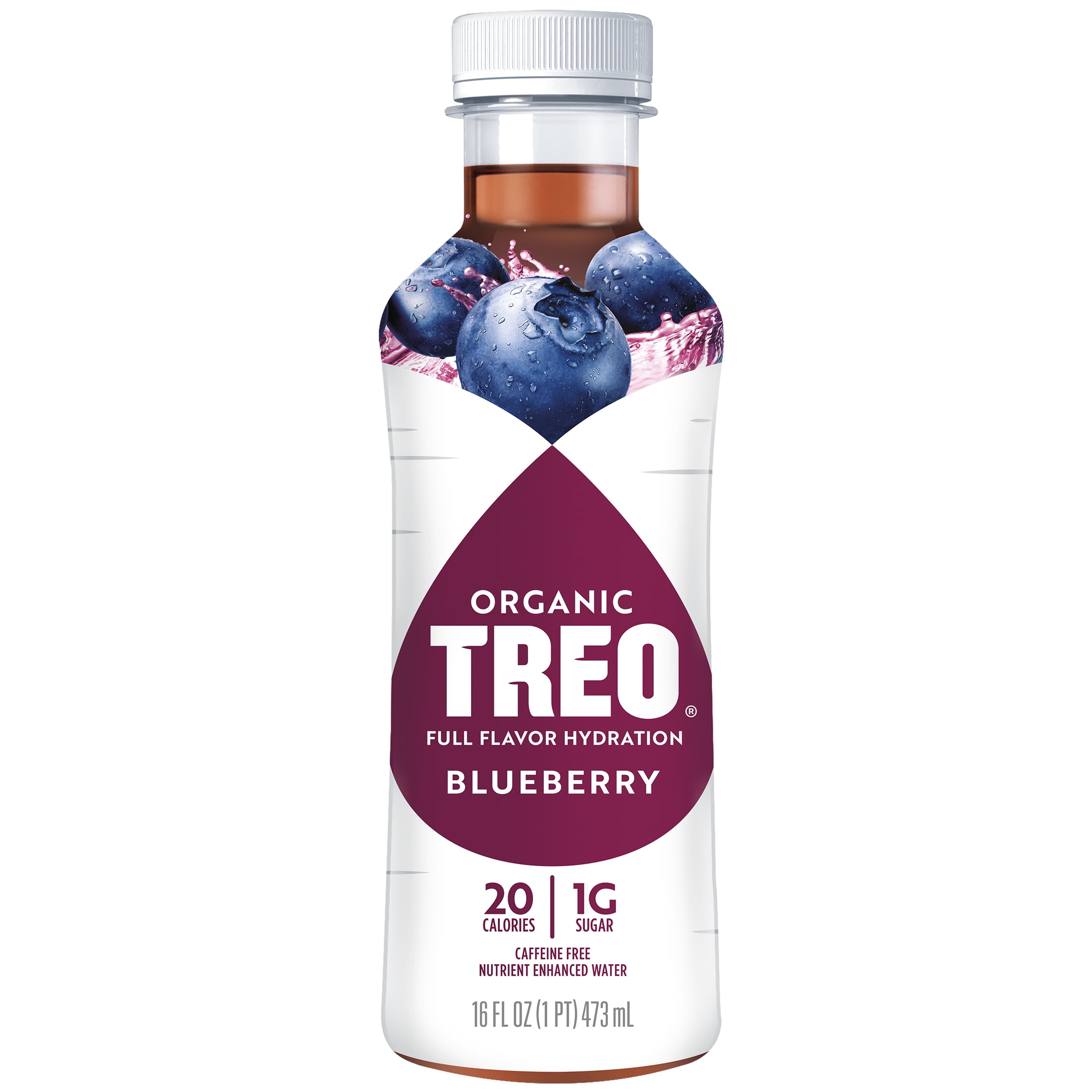 Treo Blueberry Flavored-Infused Bottled Birch Water, 16 oz