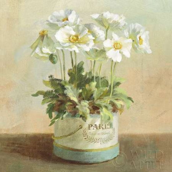 Tres Chic Poppies Canvas Art - Danhui Nai (24 x 24)