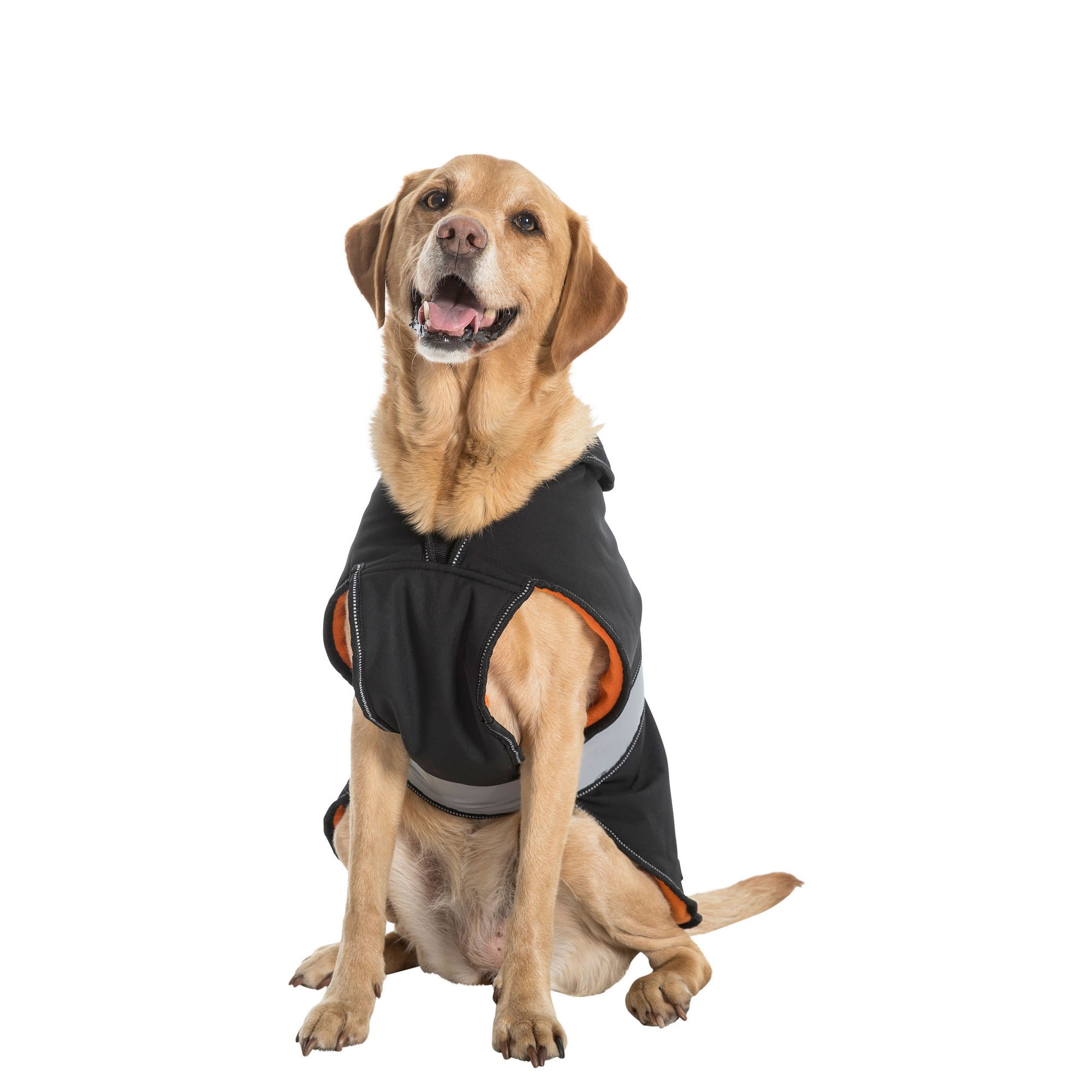 Trespass dog coats sale
