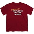 thumbnail image 1 of Trevco ATA1925-YT-2 Disgruntled-Short Sleeve Youth 18-1 T-Shirt, Cardinal - Medium, 1 of 1