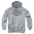 thumbnail image 1 of Trevco ATA2153-YFTH-2 Whats Wrong-Youth Pullover Hoodie, Athletic Heather - Medium, 1 of 1