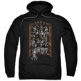 thumbnail image 1 of Trevco BM2702-AFTH-4 Batman Arkhams Gate-Adult Pull-Over Hoodie, Black - Extra Large, 1 of 2
