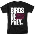 thumbnail image 1 of Trevco BOP116-AT-6 Birds of Prey & Birds of Prey Logo-Short Sleeve Adult 18-1 T-Shirt, Black - 3X, 1 of 1