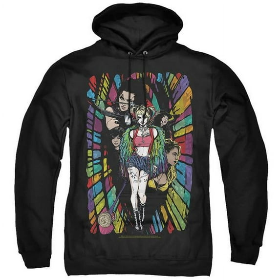 Trevco BOP126-AFTH-6 Birds of Prey & Color Corridor-Adult Pullover Hoodie, Black - 3X