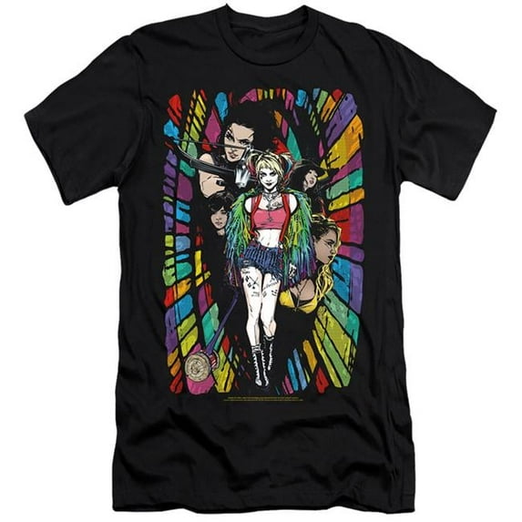 Trevco BOP126-PSF-1 Birds of Prey & Color Corridor-HBO-Short Sleeve Adult 30-1 T-Shirt, Black - Small