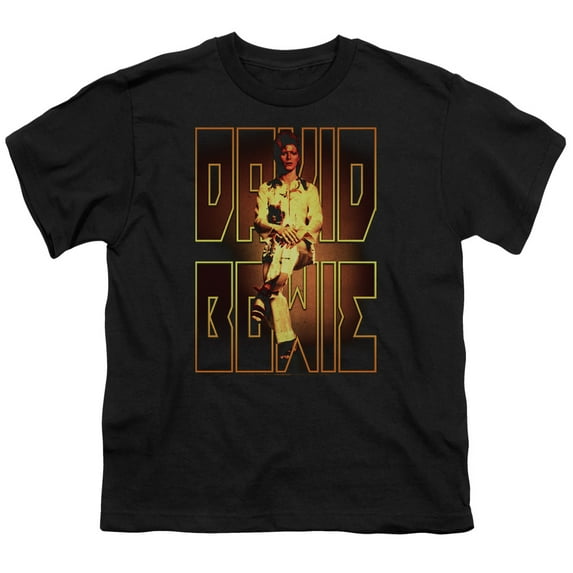 Trevco BOWIE111-YT-4 David Bowie Perched-S by S Youth Short Sleeve Shirt, Black - Extra Large