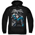 thumbnail image 1 of Trevco Batman-A Legacy - Adult Pull-Over Hoodie - Black- Medium, 1 of 1