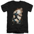 thumbnail image 1 of Trevco  Batman & Nightwing Against Owls Short Sleeve Cotton Adult Slim Fit V-Neck 30-1 T-Shirt, Black - Large, 1 of 1