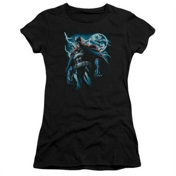 Trevco Batman-Stormy Knight - Short Sleeve Junior Sheer Tee - Black- Medium
