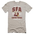 thumbnail image 1 of Trevco CBS866-PSF-3 Star Trek & Sfa Fighting Phoenix Premium Canvas Adult Cotton Slim Fit 30-1 T-Shirt, Silver - Large, 1 of 1