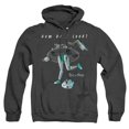 thumbnail image 1 of Trevco CN1956-AHH-6 Rick & Morty How Do I Look-Adult Heather Hoodie, Black - 3X, 1 of 1