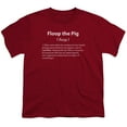 thumbnail image 1 of Trevco CN422-YT-2 Adventure Time & Floop the Pig Youth 18-1 Short Sleeve T-Shirt, Cardinal - Medium, 1 of 2