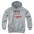 thumbnail image 1 of Trevco CHV201-YFTH-1 Chevrolet & Car of the Year Youth Pull-Over Hoodie, Athletic Heather - Small, 1 of 2