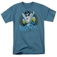 thumbnail image 1 of Trevco DC-Nightwing - Short Sleeve Adult 18-1 Tee - Slate- Extra Large, 1 of 1