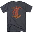 thumbnail image 1 of Trevco DC-Whirlwind - Short Sleeve Adult 18-1 Tee - Charcoal- 3X, 1 of 1
