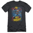 thumbnail image 1 of Trevco Dc-No Way - Short Sleeve Adult 30-1 Tee - Charcoal- Medium, 1 of 1