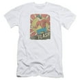 thumbnail image 1 of Trevco Dc-Tattered Poster - Short Sleeve Adult 30-1 Tee - White- Medium, 1 of 1