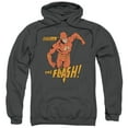 thumbnail image 1 of Trevco Dc-Whirlwind - Adult Pull-Over Hoodie - Charcoal- Small, 1 of 2