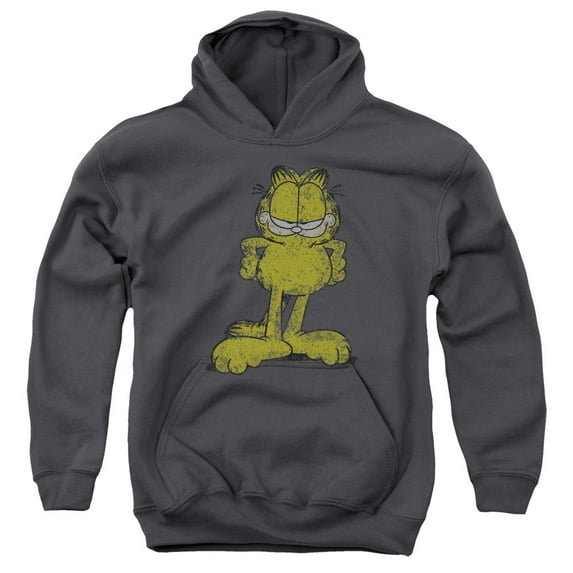 Trevco GAR187-YFTH-2 Garfield Big Ol Cat Youth Pull Over Hoodie, Charcoal - Medium