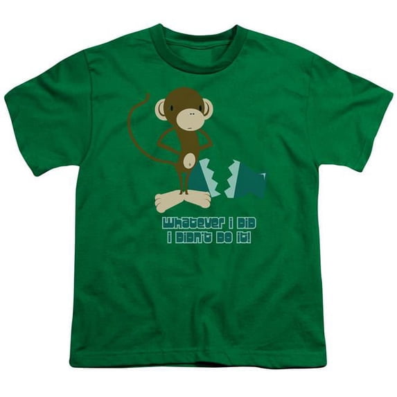 Trevco GSY116-YT-4 I Didnt Do It-Short Sleeve Youth 18-1 T-Shirt, Kelly Green - Extra Large