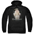 thumbnail image 1 of Trevco HP6008-AFTH-4 Harry Potter & Dumble Doors Adult Pull Over Hoodie, Black - Extra Large, 1 of 2