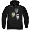 thumbnail image 1 of Trevco HP8007-AFTH-2 Harry Potter & Hero Heads Adult Pull Over Hoodie, Black - Medium, 1 of 2