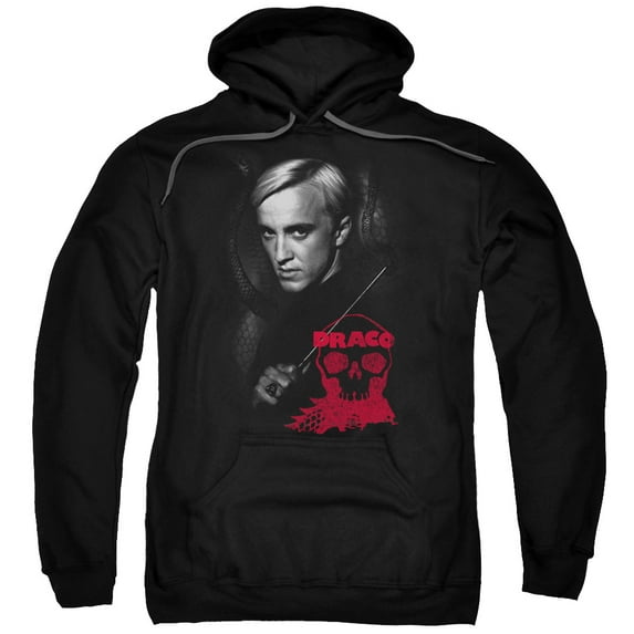 Trevco HP8052-AFTH-2 Harry Potter & Draco Portrait-Adult Pull-Over Hoodie, Black - Medium