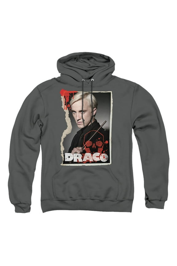 HP8051-AFTH-3 Harry Potter & Draco Frame-Adult Pull-Over Hoodie, Charcoal - Large