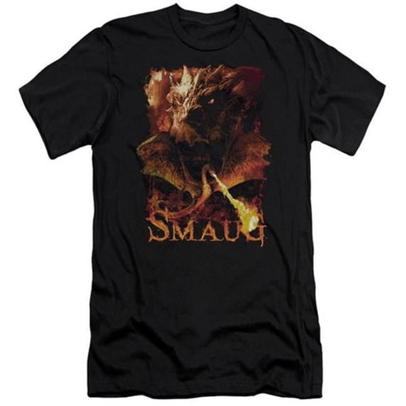 Trevco Hobbit-Smolder Short Sleeve Adult 30-1 Tee- Black - Large