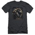 thumbnail image 1 of Trevco Hobbit-Weapons Drawn Short Sleeve Adult 30-1 Tee- Charcoal - Small, 1 of 1