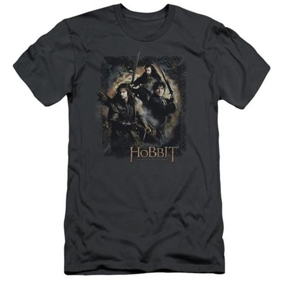 Trevco Hobbit-Weapons Drawn Short Sleeve Adult 30-1 Tee- Charcoal - Small