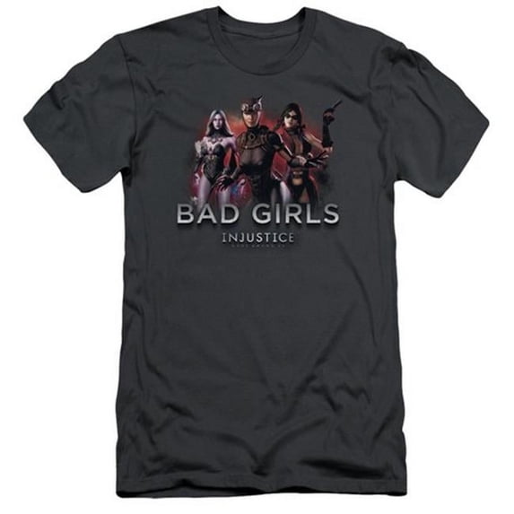 Trevco Injustice Gods Among Us-Bad Girls Short Sleeve Adult 30-1 Tee- Charcoal - 2X