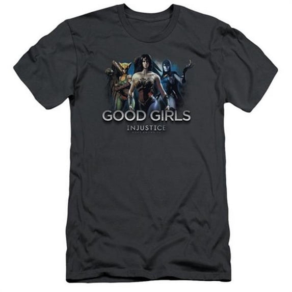 Trevco Injustice Gods Among Us-Good Girls Short Sleeve Adult 30-1 Tee- Charcoal - Small