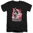 thumbnail image 1 of Trevco Jla-Wonder Woman Red & Gray Short Sleeve Adult V-Neck 30-1 Tee- Black - Medium, 1 of 1